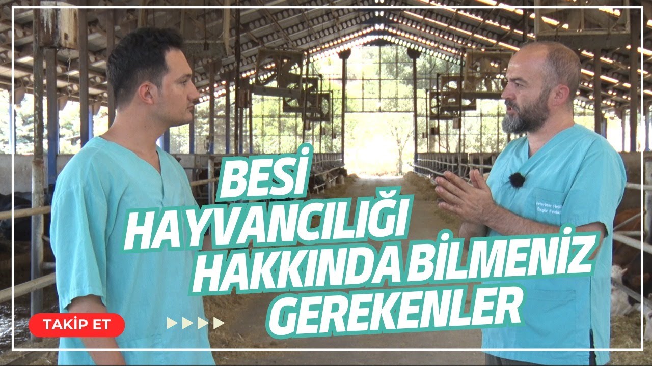 BESİ HAYVANCILIĞI HAKKINDA BİLMENİZ GEREKENLER | ÇİFTLİĞİN GÜNLÜĞÜ