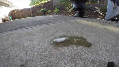 Reverse Ice Cube Melt Time-Lapse