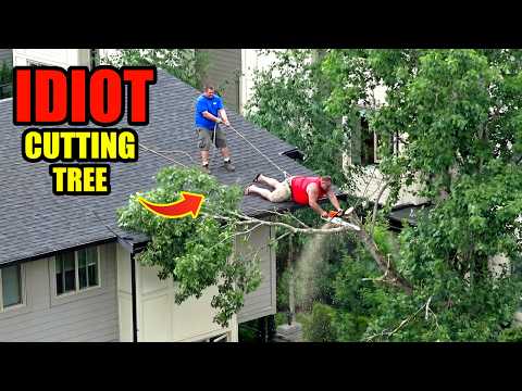 Idiots With Chainsaws: Tree Cutting Fails | Extreme Dangerous Logging Truck Fails #92