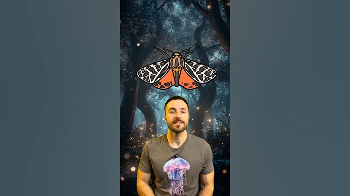 Moths can jam bat signals - they are basically stealth fighters #shorts #nature #evolution #animals