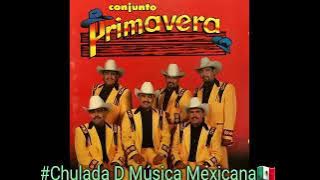 Anonimo. Conjunto Primavera