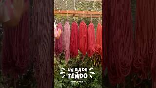 Un día de teñido de lanas en la Patagonia./ A day of wool dyeing in Patagonia.