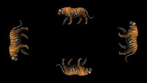 Compilation, Holographic Animation For Use With HoloQuad Pyramid Hologram MMD