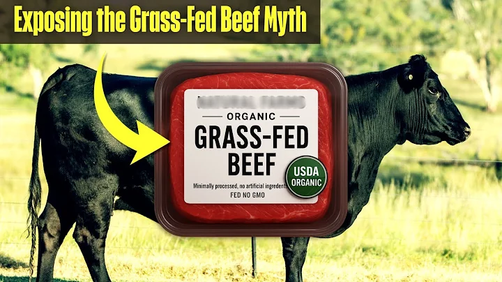 The Grass Fed Beef Scam: What’s Really on Your Plate?