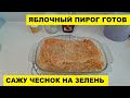 ЯБЛОЧНЫЙ ПИРОГ ГОТОВ..САЖУ ЧЕСНОК НА ЗЕЛЕНЬ