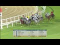 RACE 6 PUREBRED ARABIAN GUINEAS
