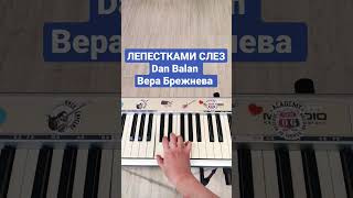 Лепестками слез Вера Брежнева Dan Balan #easypiano #пианино #пианинодляначинающих #piano #pianocover