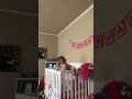 Baby climbs out crib!!!!Dangerous!!!