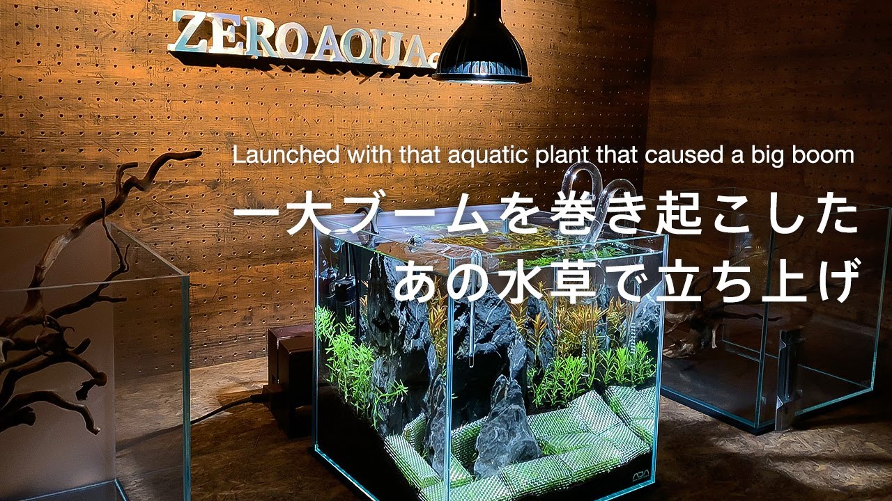 気泡がもっとも美しい水草で30cm水草レイアウト水槽の立ち上げ Ada 押入れdiy リメイク Aquarium Vlog Youtube