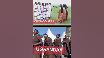 Siirba Aadaa Arsii Wolii Fakkeenyaa Umaata Fi Aadaa Biyya Oromo Fi Ugaandaa 