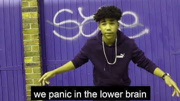 Stress on the Brain