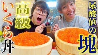 【魚卵解禁祝い】テオくんに超豪華いくら丼を食べさせてあげます！！