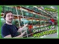 Visitei uma Loja de AQUARISMO! - Nutrifish