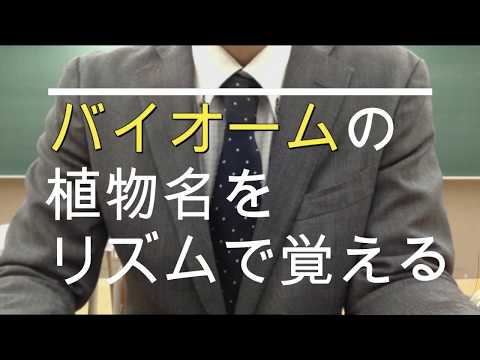高校生物基礎「バイオームの植物名をリズムで覚える」