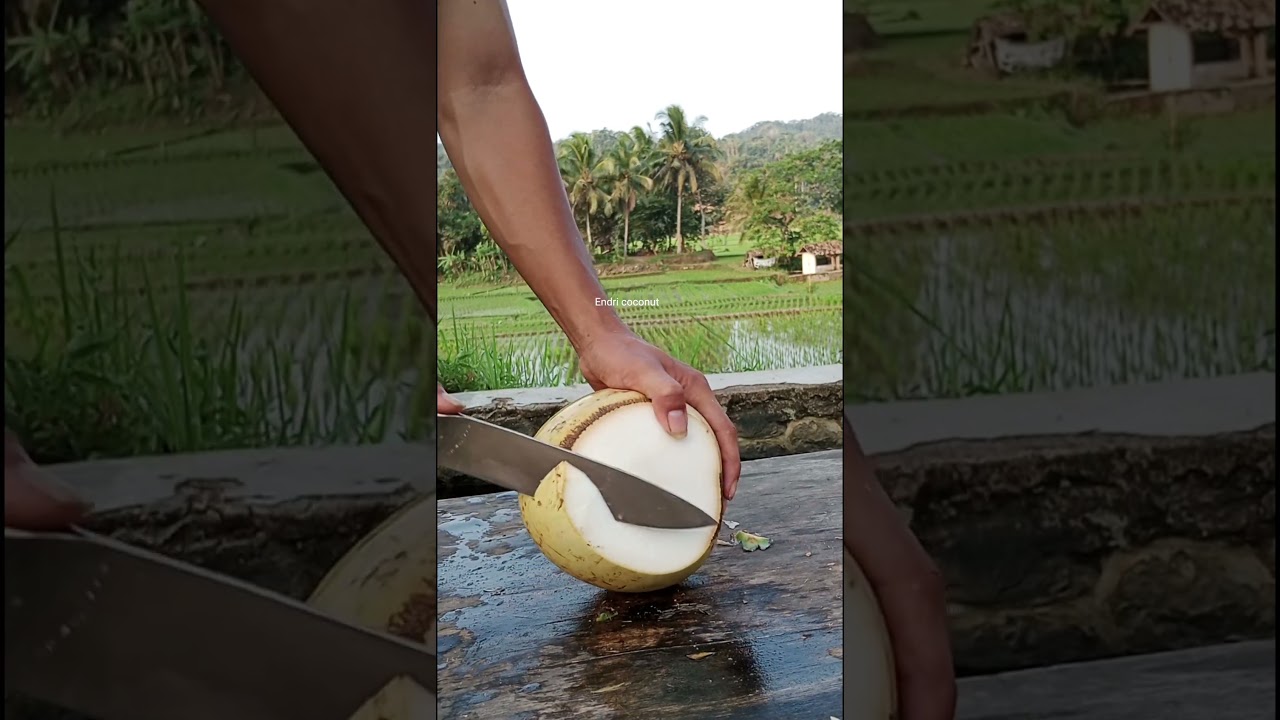 veri agile in cutting coconut #5 