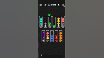 ball sort color water puzzle level 1010