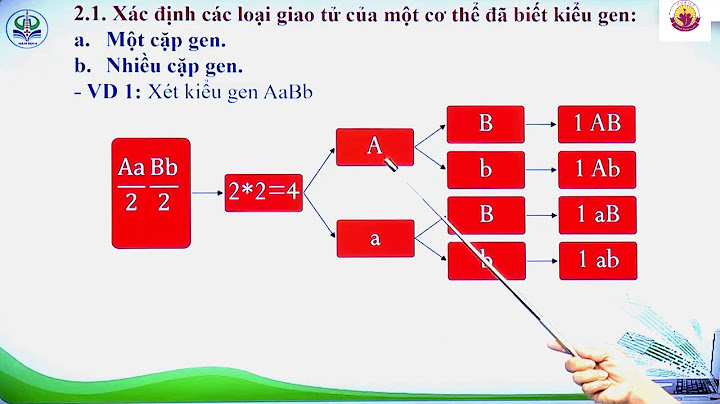 Bài tập về quy luật di truyền menden lop 9 năm 2024