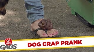 Puppy Poop Prank