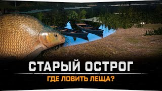 Где Лещ? • Озеро Старый Острог • Русская Рыбалка 4
