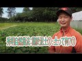 秀明自然農法：關於泥土① : 土って何？①