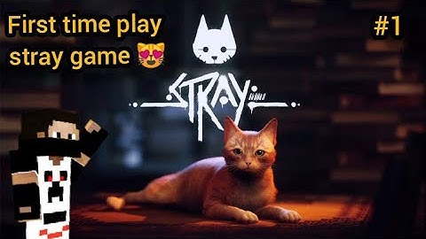 First time play stray game in mobile 😻😍 || how to play stray game in mobile