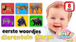 Woordjes Leren  Dierentuin Dieren  Baby Tv Nederlandse Baby Filmpjes