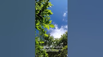 #quran #قرآن #راحة_نفسية فوربك لنسألنهم أجمعين _ أحمد النفيس #سورة_الحجر