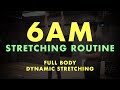 6AM: Morning Stretching Routine(Full Body/Dynamic)