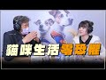 &#39;24.01.08【全能狗S 寵物當家】貓行為諮商師蘇渝婷談「貓咪生活零恐懼」