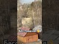 🐻 #россия