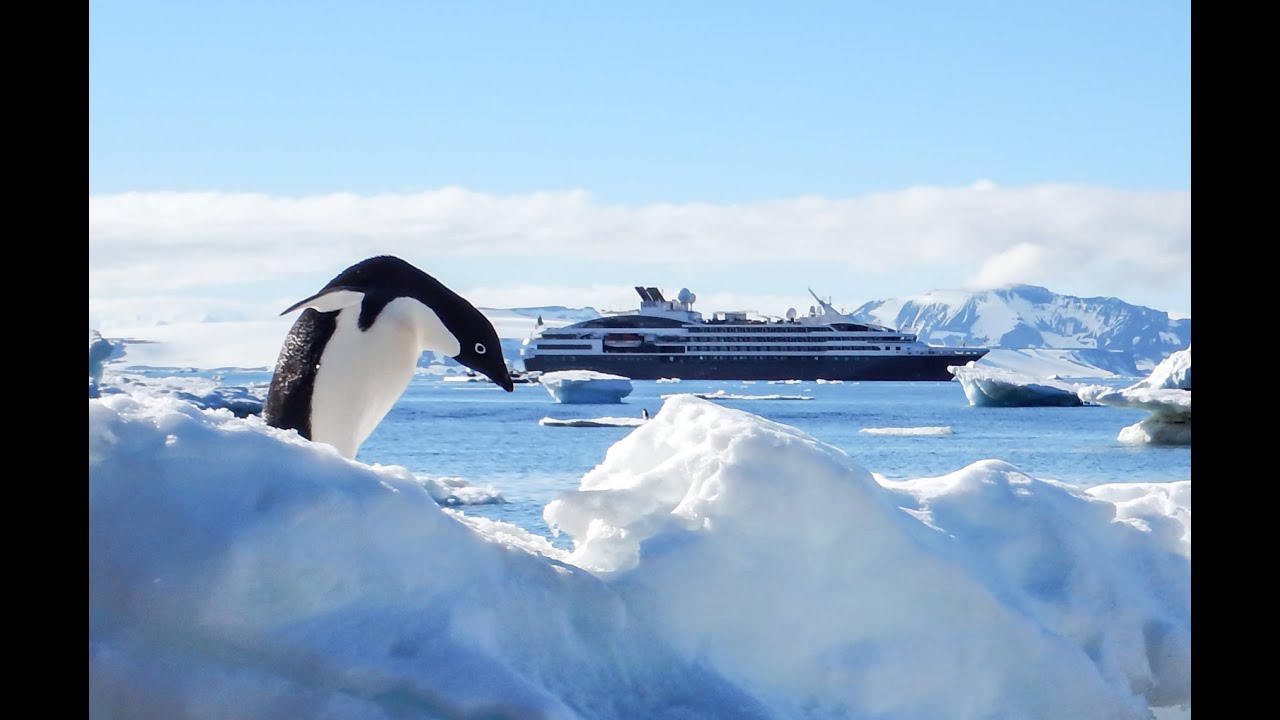 tauck tour antarctica