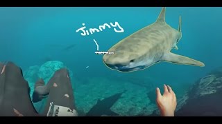 Famous BUCKET AND SHARK PROBLEMS! (Stranded Deep) Profile