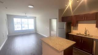 Level At 401 B3 Reno