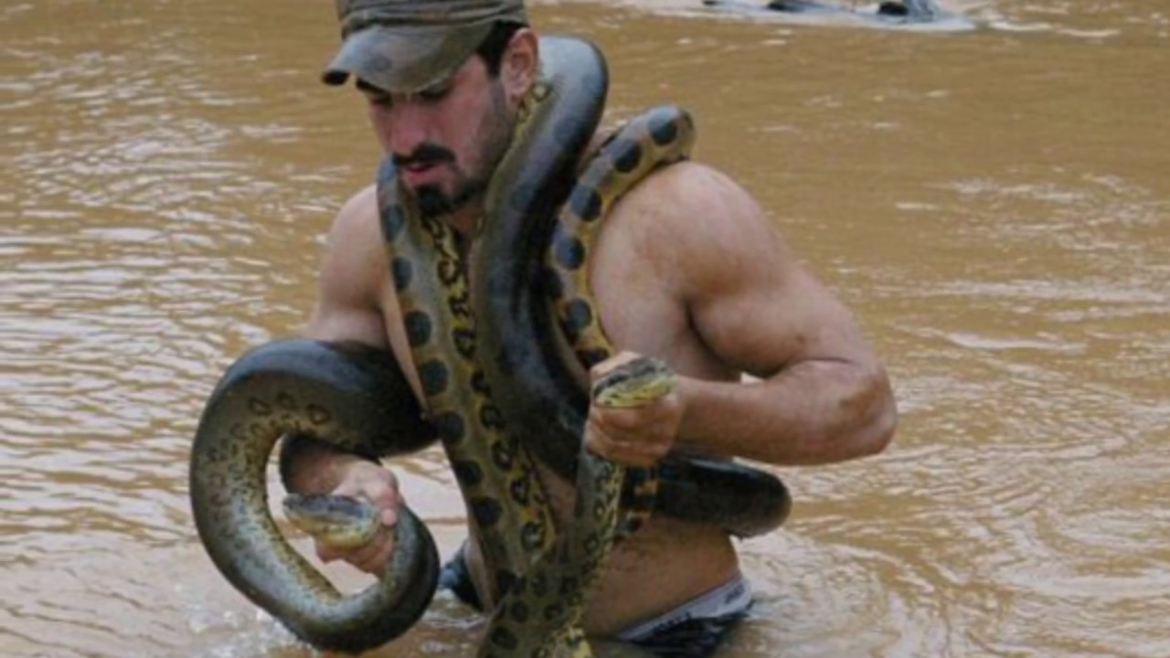 Anaconda vs Man  - Giant Snakes