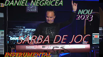 █▬█ █ ▀█▀  2023-SARBA - PE - SISTEM - DANIEL NEGRICEA [ DOMN PROFESOR DANCIU ]