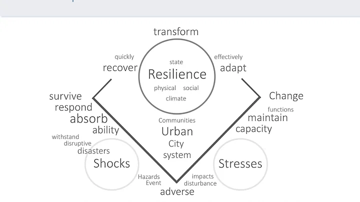 Understanding resilience in the built environment: Going beyond disaster mitigation