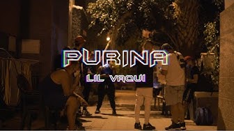 Purina Youtube Purina Youtube