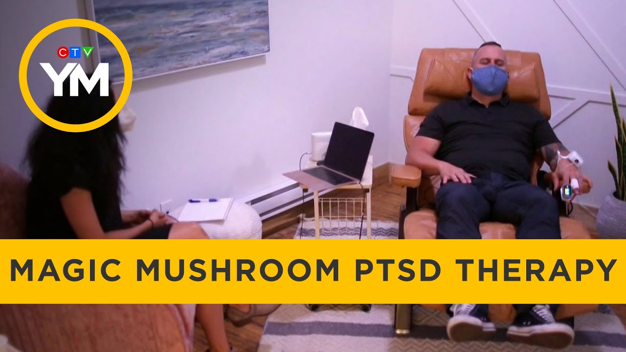 Magic mushroom PTSD therapy Your Morning YouTube