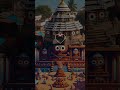 Tu mo kala thakura 🙏 Jay Jagannath Puri ❗ ତୁମୋ କଳା ଠାକୁର 🌿 #jagannath #rathyatra2025 #odiabhajan