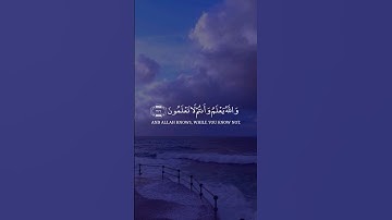 وعسى أن تكرهوا شيئا وهو خيرٌ لكم || ما تيسر من سورة البقرة.