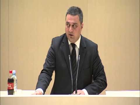 ვიქტორ დოლიძის გამოსვლა პარლამენტის პლენარულ სხდომაზე 14/11/2013