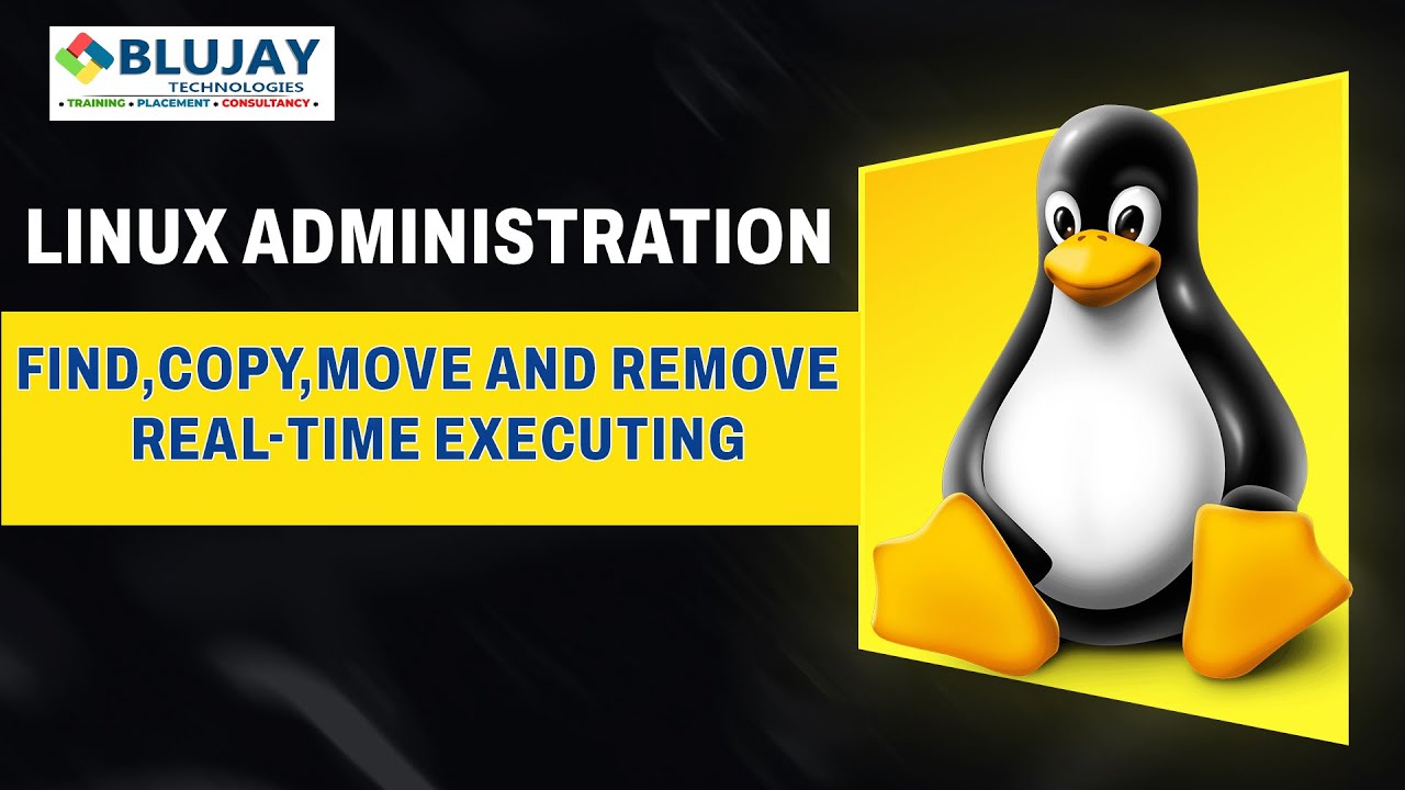 Master Linux File Management in ONE Video | find, cp, mv & rm Commands
