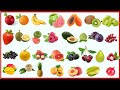 All fruits name in english  list of fruits name  fruits name  different fruits