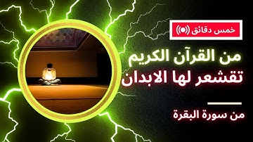 تلاوة بصوت هادئ وجميل من سورة البقرة من الآية 165 الى الآية 176 بصوت القارئ احمد سليمان