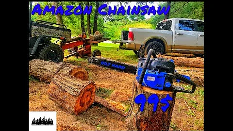 6 Month Review On The Cheapest Chainsaw On Amazon 99$ Surprisingly Still Going Strong (Built-Hard)