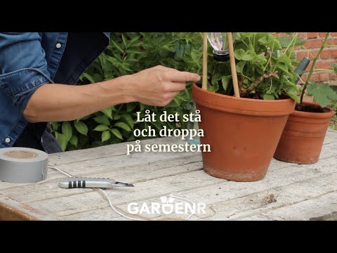 Video: Hur gör man droppbevattning med egna händer?