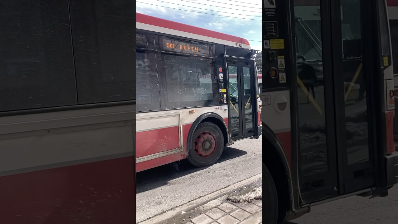 TTC 8142 501 Queen 13.02.2026