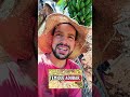 já parou pra pensar... se vc para pra pensar vc estará pensando parado  #vidanaroça #agro