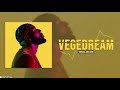 Capture de la vidéo Vegedream | Mixtape 2020 | Best Of #21 | Rnb, Afrotrap & Rap Français By Coco Ernest