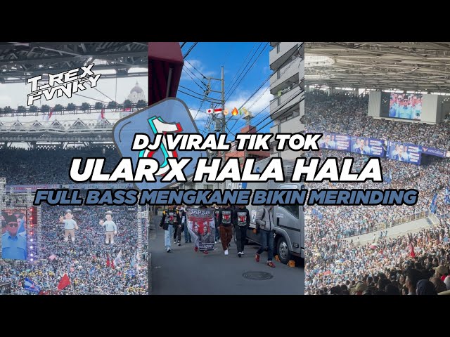 DJ ULAR X HALA HAIDING FULL BASS VIRAL TIK TOK TERBARU 2024 (Slowed & Reverb) class=